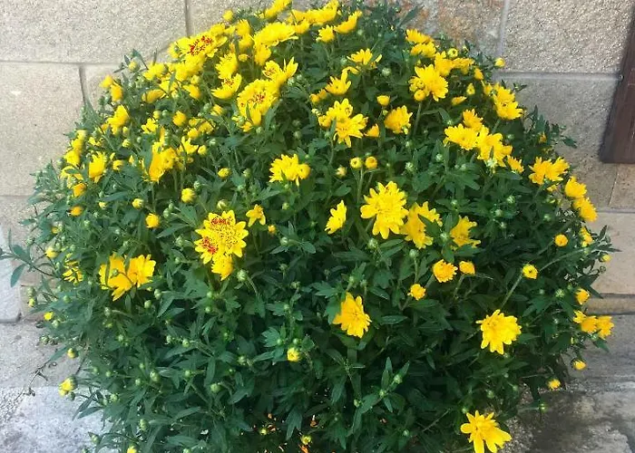 Апартамент Snow -