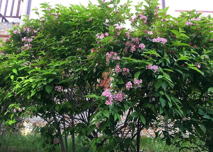 Snow - Апартамент *